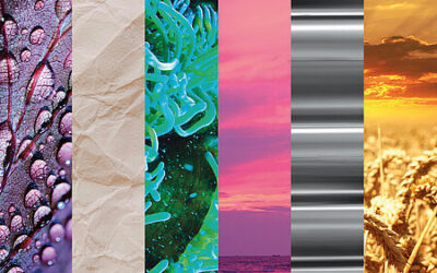 ROWA Masterbatch verrät die Farbtrends der Zukunft