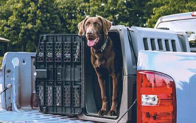 Schäumen großformatiger Teile im Spritzgussverfahren